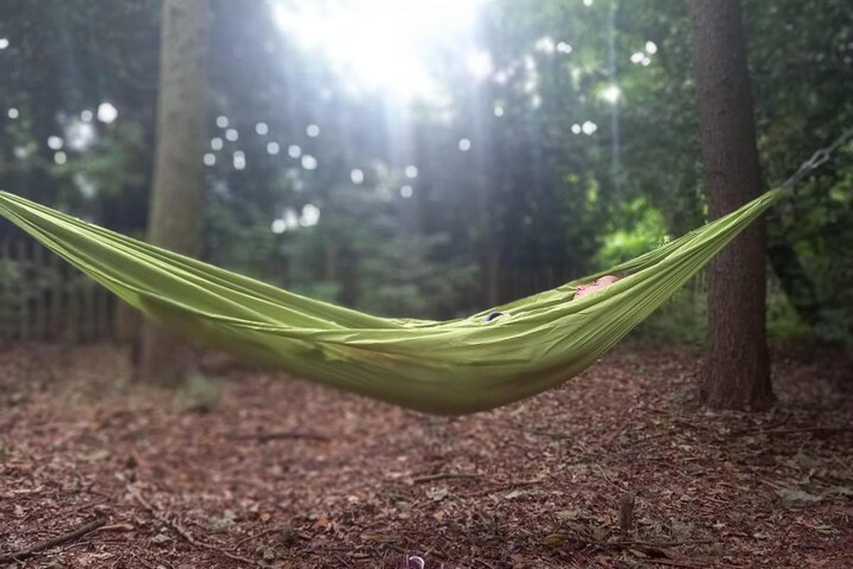 un'amaca verde in mezzo a una foresta