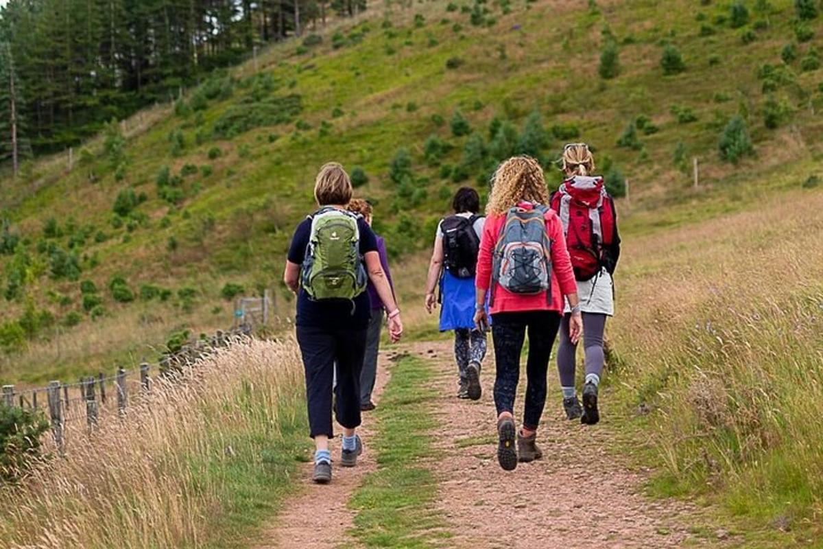 un gruppo di persone che camminano lungo un sentiero sterrato