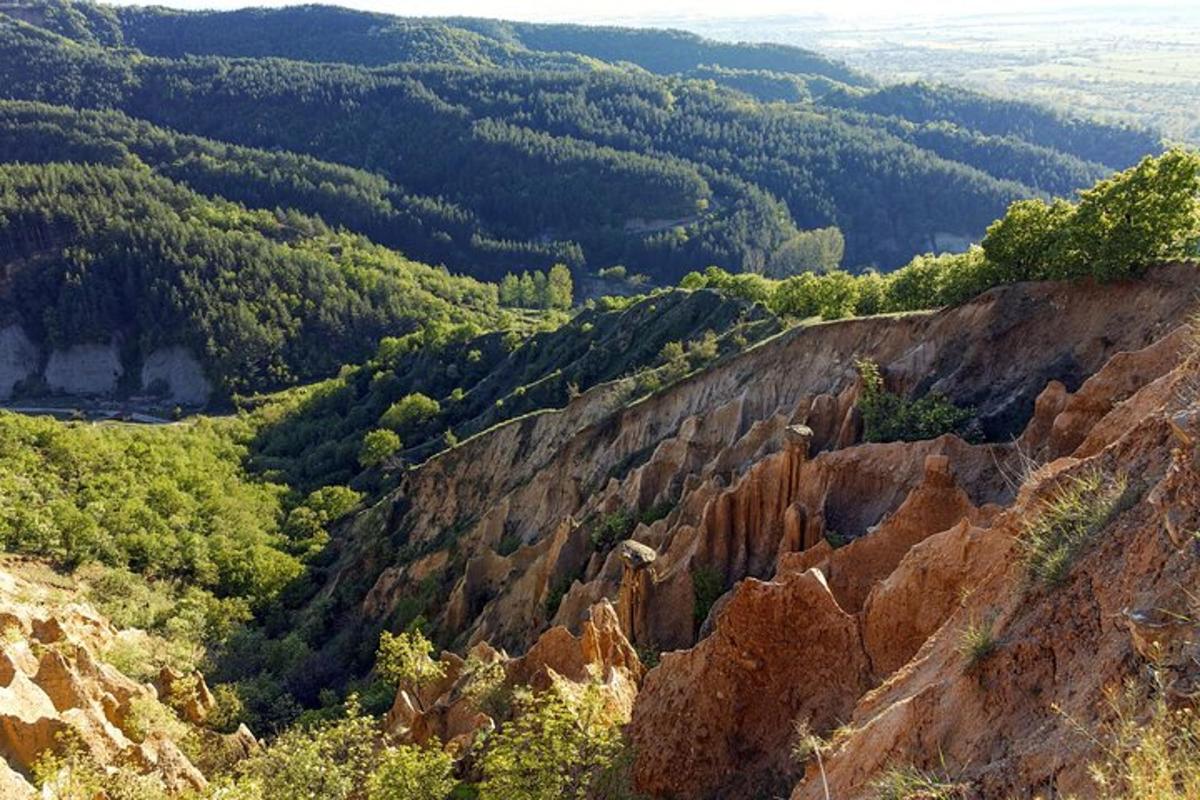 pogled na goro z drevesi in skalami