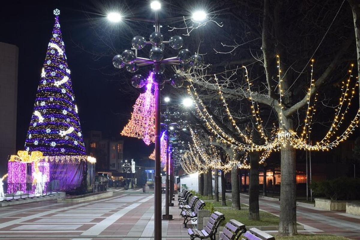 una strada cittadina con luci e alberi di Natale