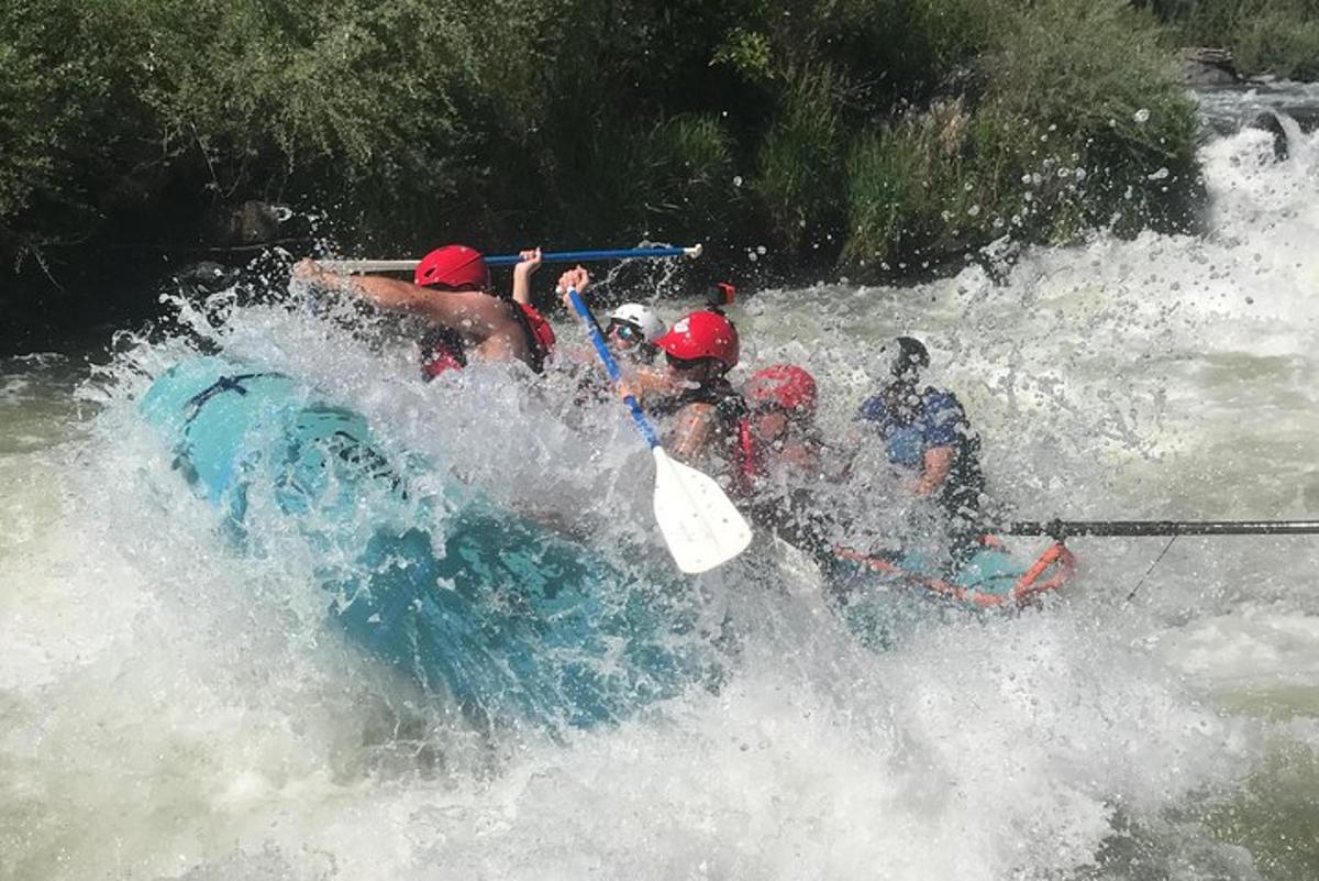 Φωτογραφία αξιοθέατου 5