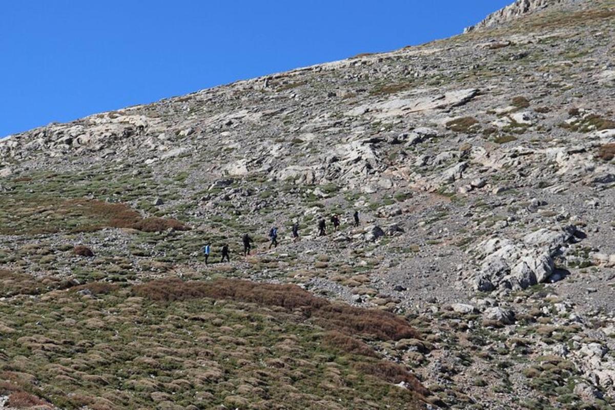 一群人沿着山坡往上走
