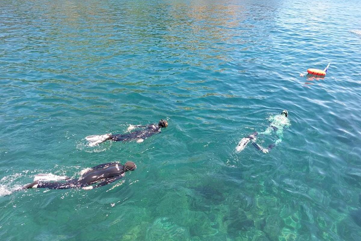 Lankytinos vietos ar pramogos nuotrauka numeris 3