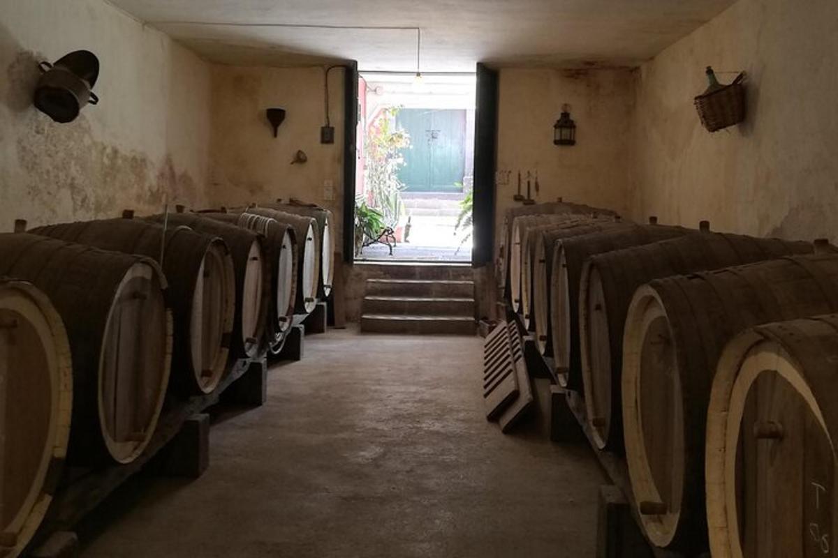 una habitació buida amb fileres de bótes de vi