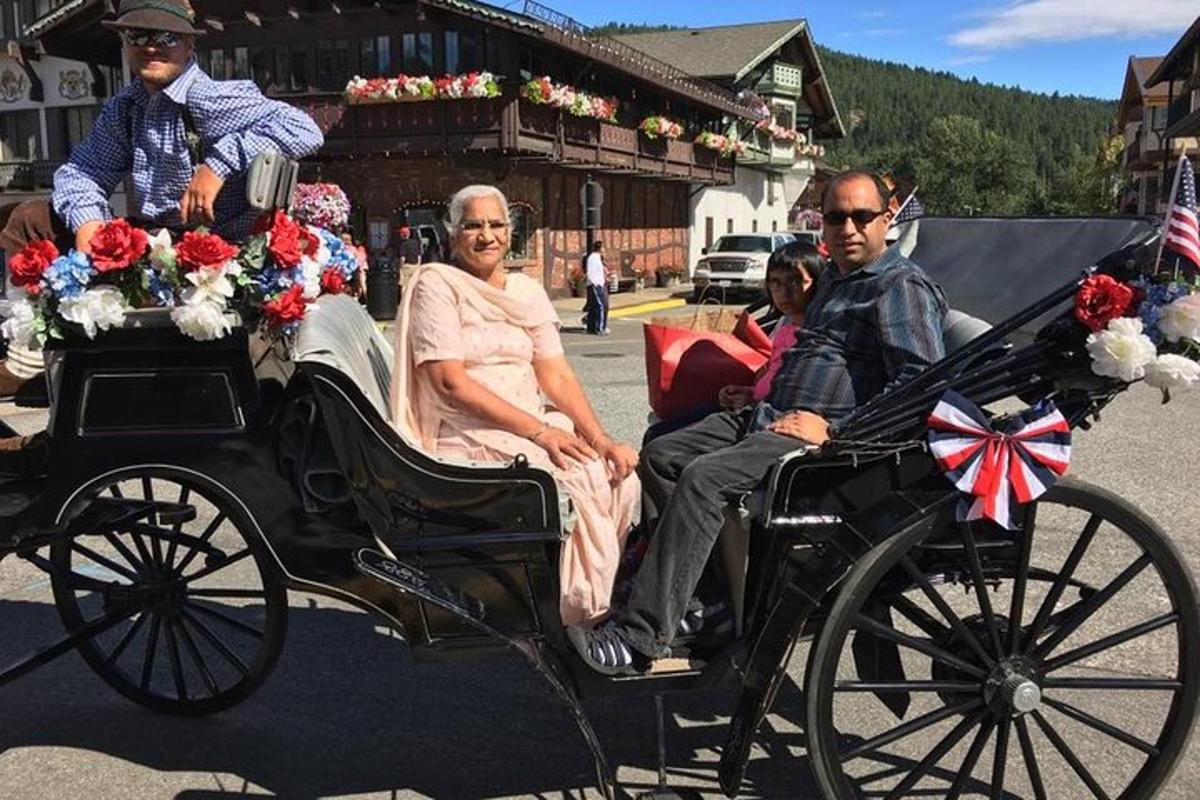 skupina lidí jedoucích v koňském povoze