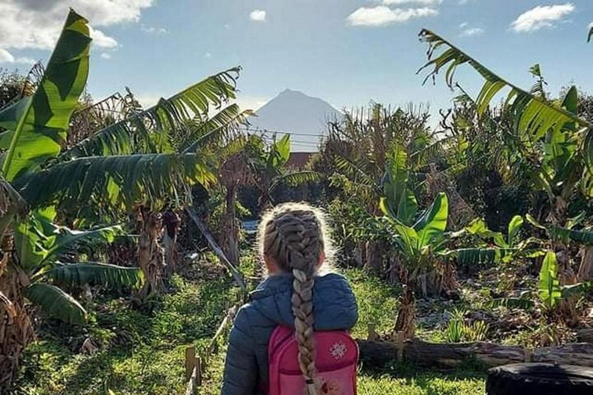 Lankytinos vietos ar pramogos nuotrauka numeris 1