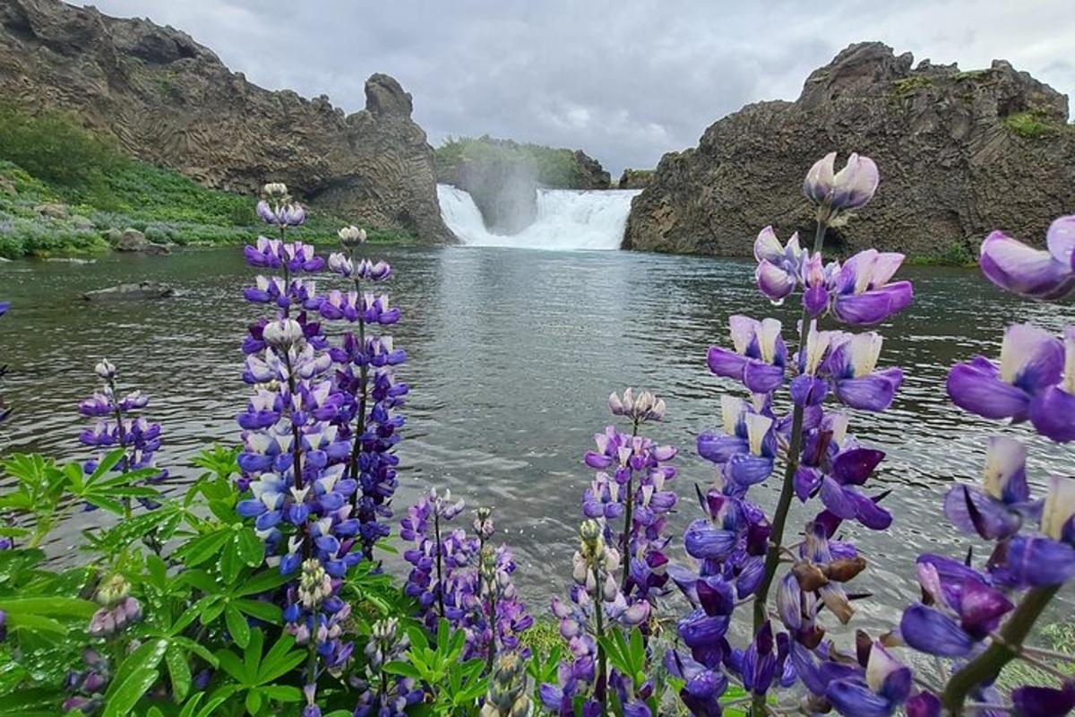 un mazzo di fiori viola davanti a una cascata