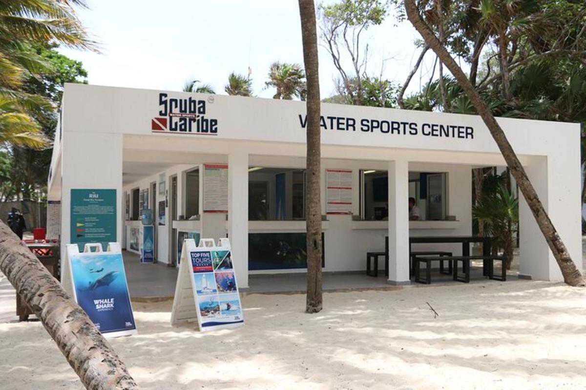pusat sukan aker di pantai dengan pokok palma