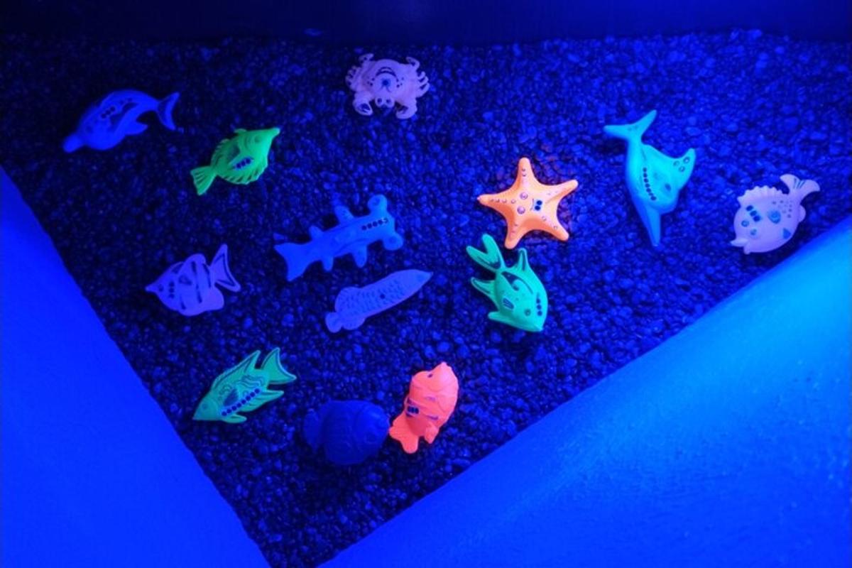 un gruppo di pesci e stelle marine su un tappeto