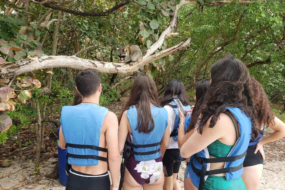 a group of people looking at a monkey in the trees