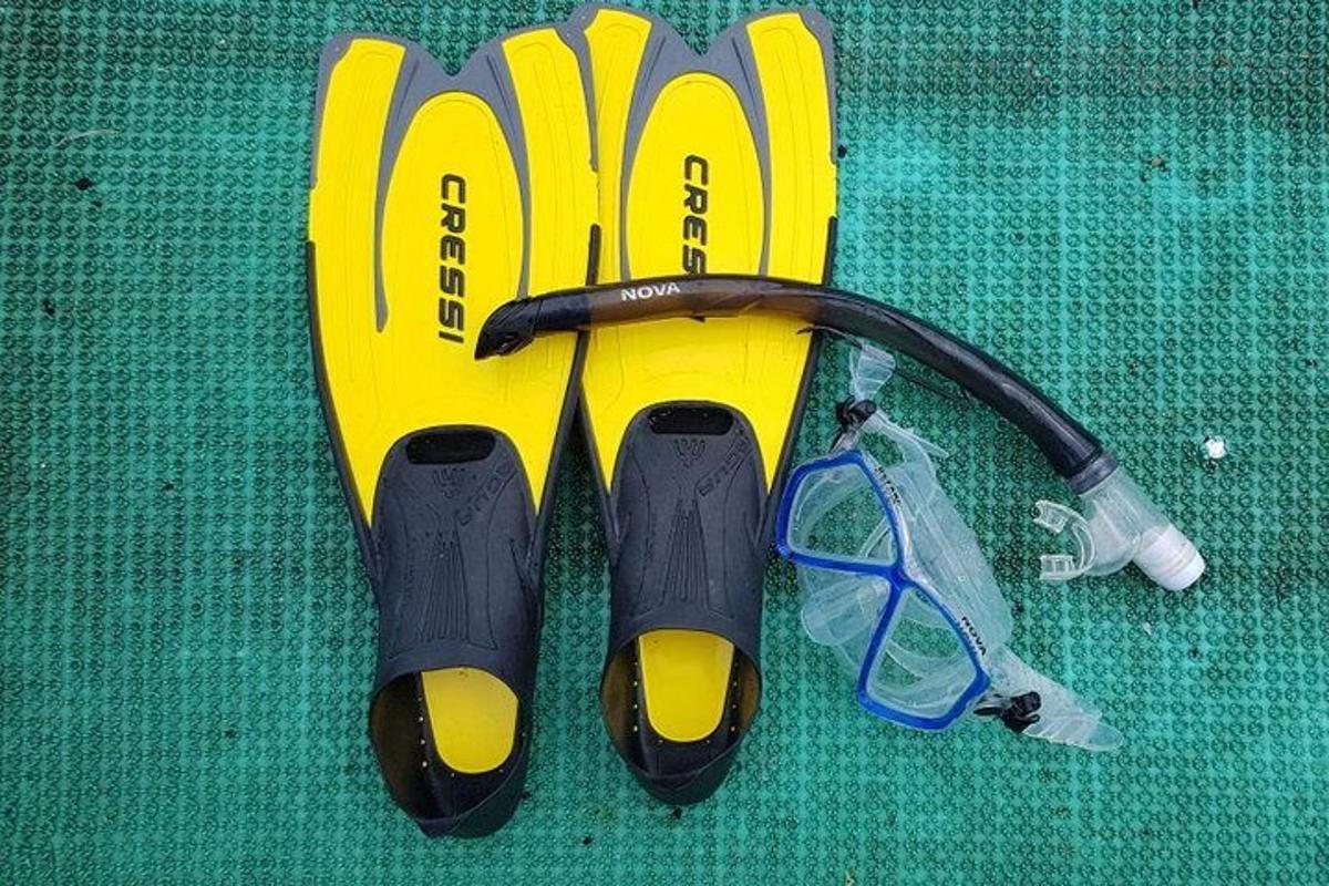 a pair of skis and a pair of headphones