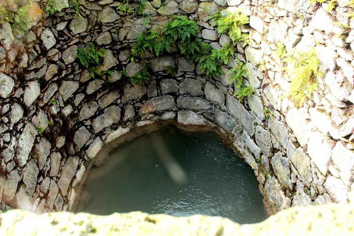 kamenný tunel s vodou a rostlinami v něm