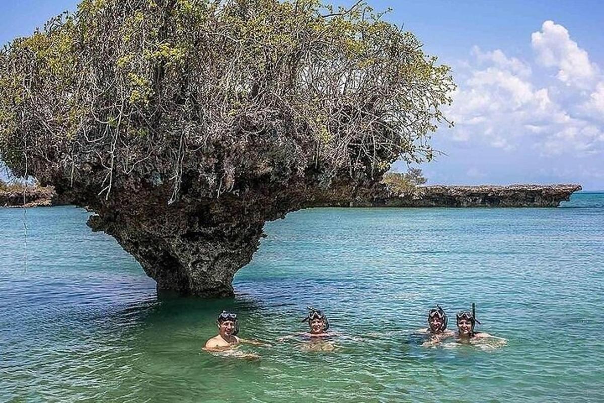 un gruppo di persone che nuotano nell'acqua vicino a un'isola