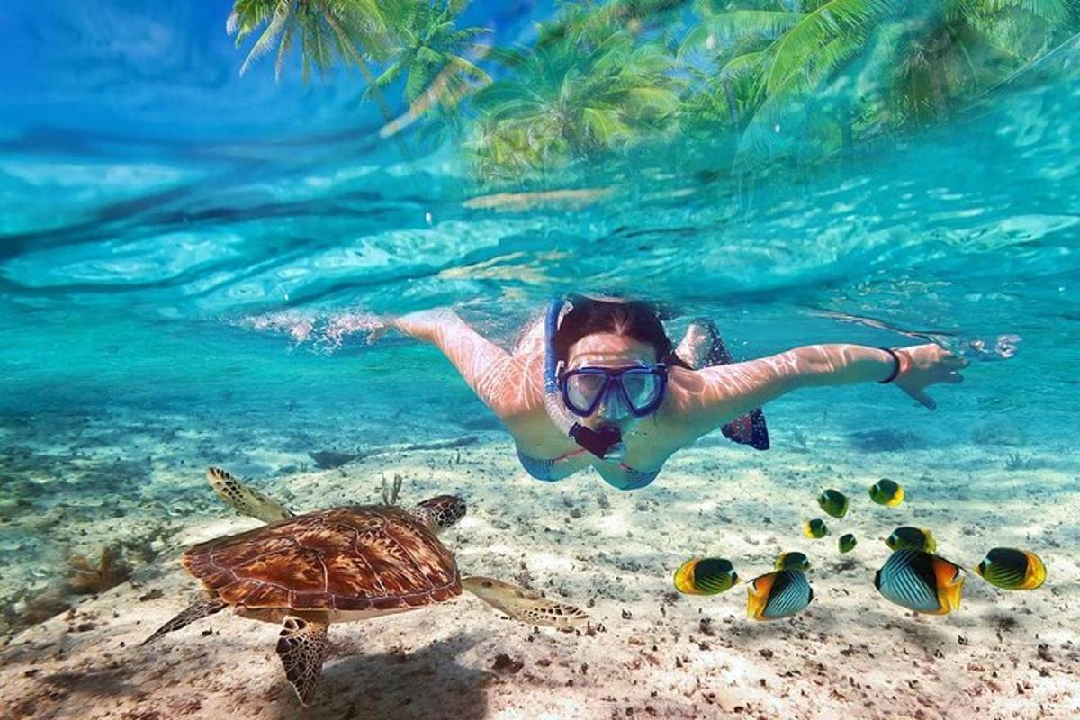 žena plave v oceánu vedle želvy