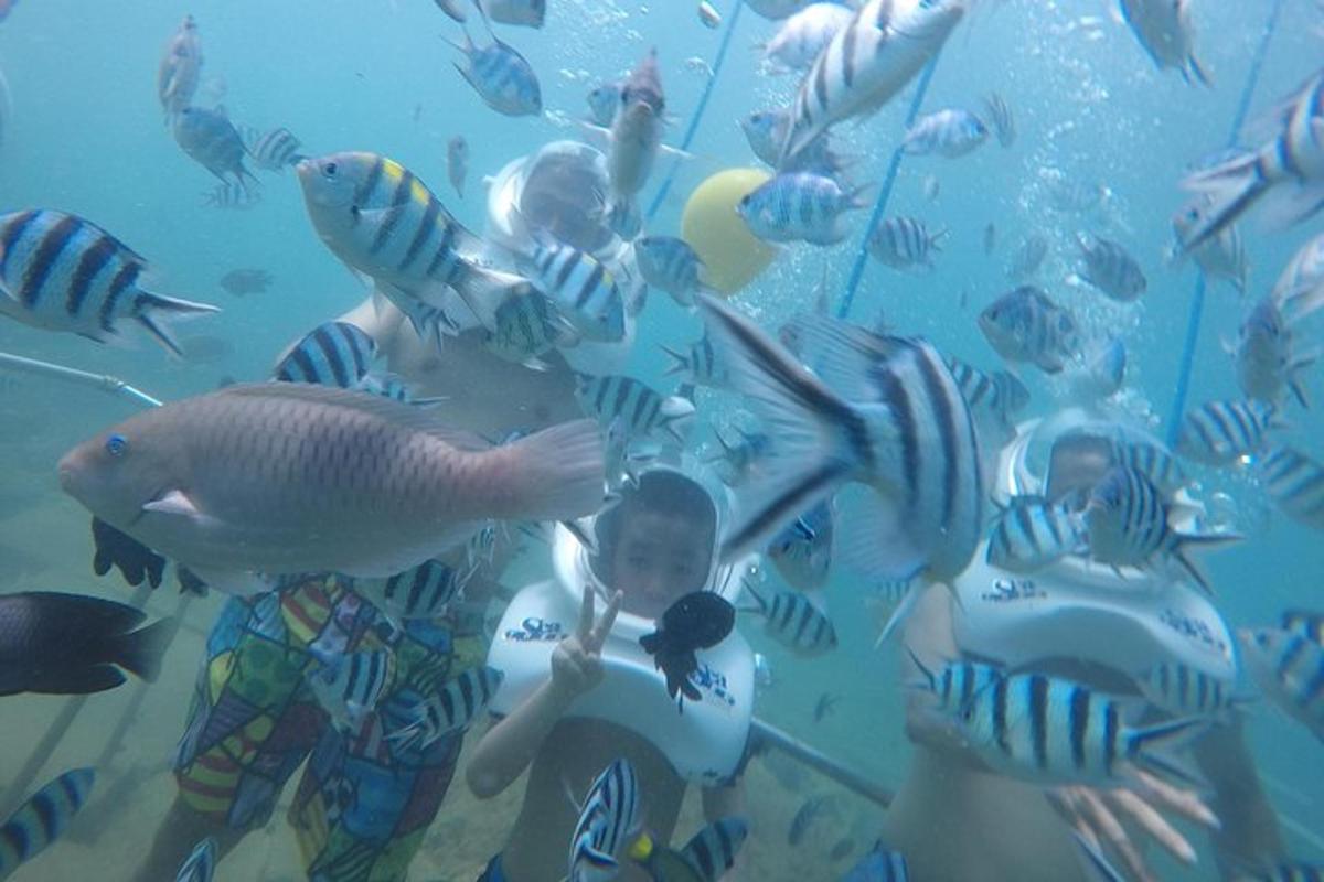 a group of children watching fish in the water