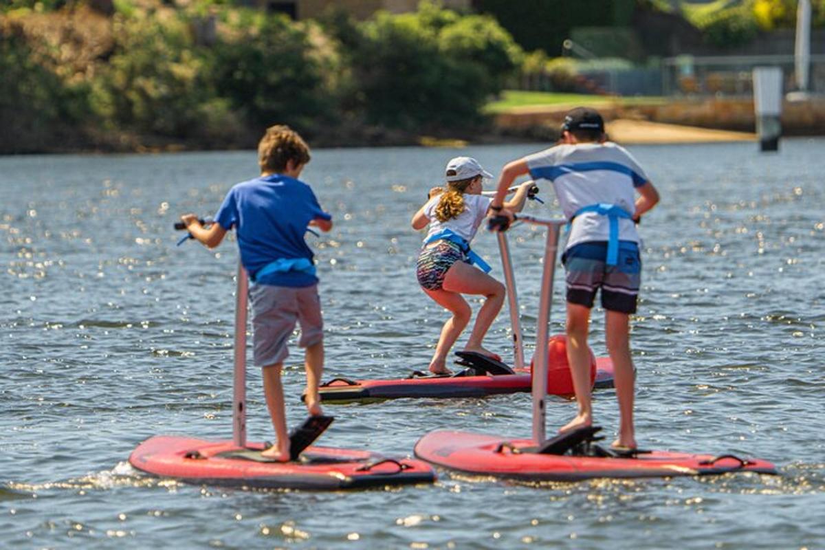 eine Gruppe von Menschen steht auf Paddle-Boards im Wasser