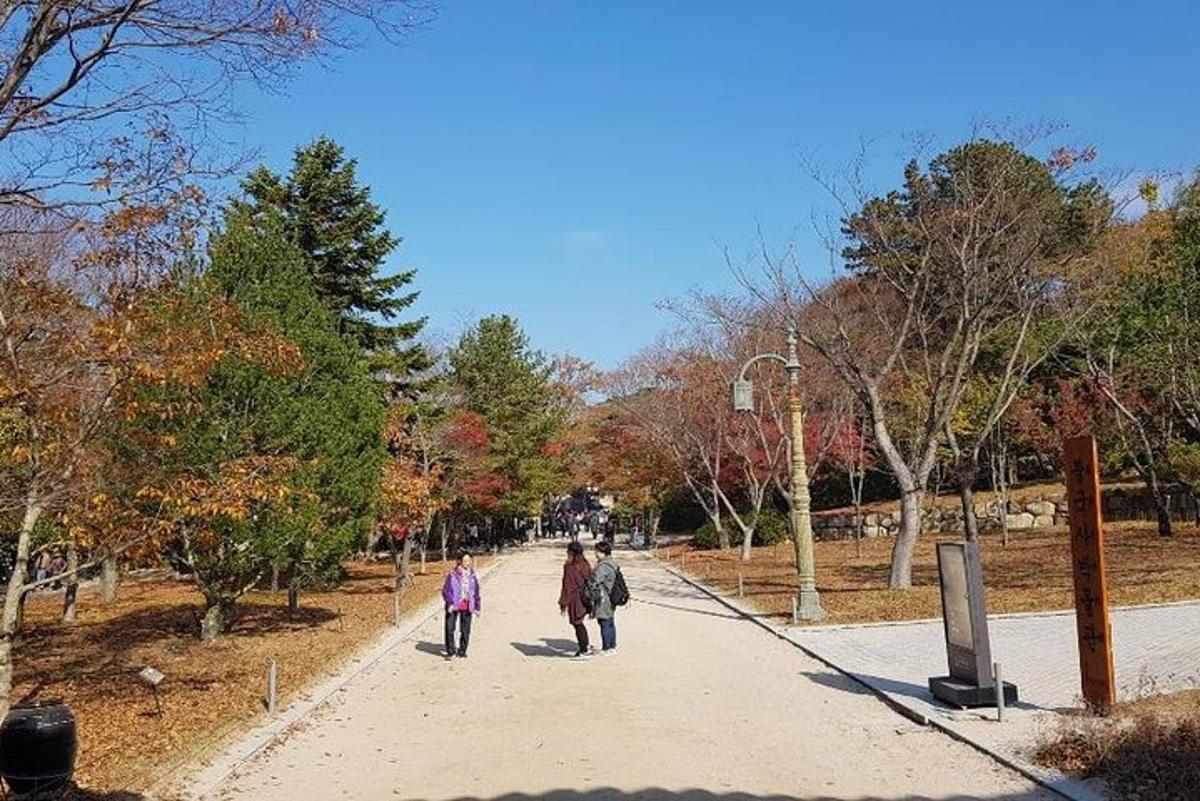 tres persones caminant per la vorera d'un parc