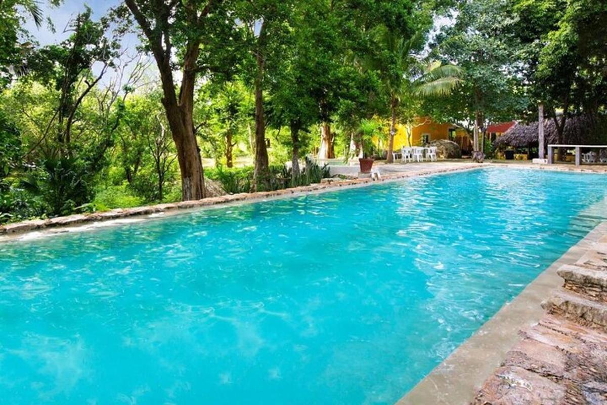 una gran piscina blava amb arbres al fons