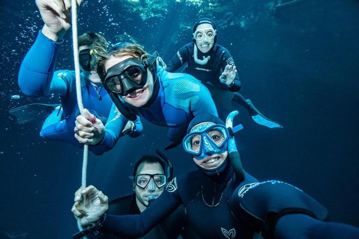 a group of people swimming in the water