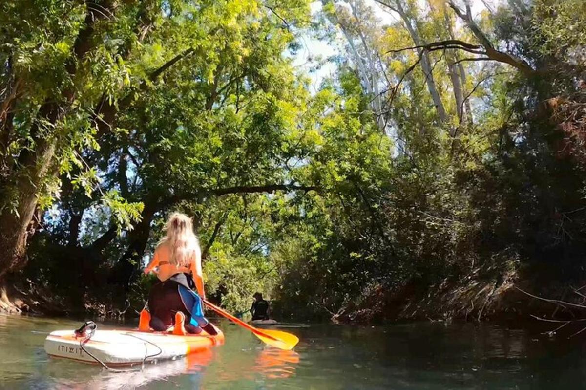 uma mulher está remando um barco em um rio