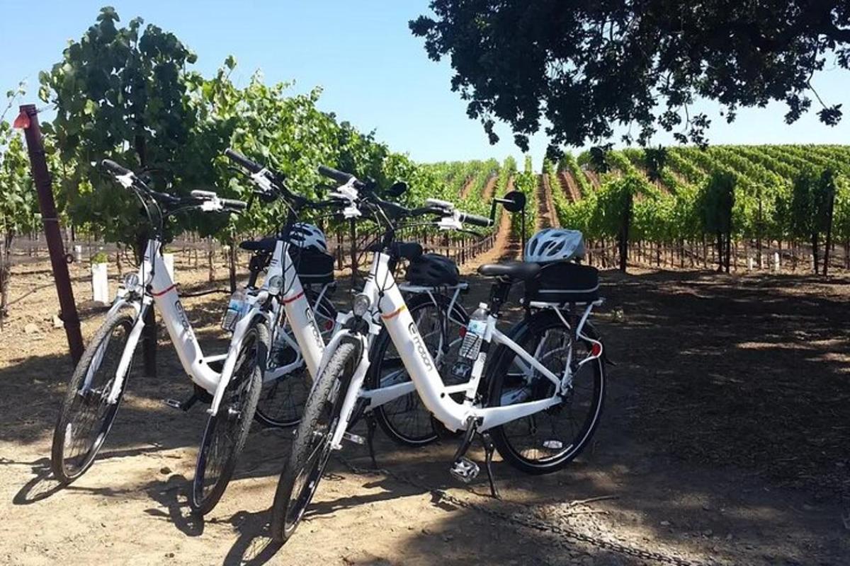 un grup de biciclete parcate una lângă alta