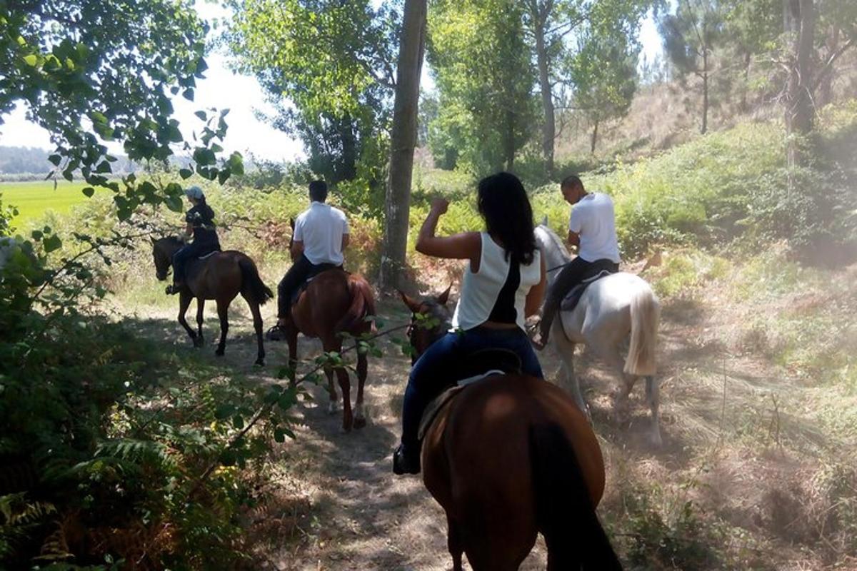 sekumpulan orang menunggang kuda di laluan