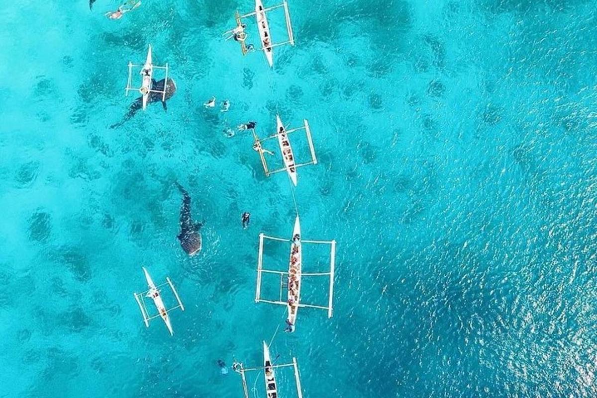 uma vista aérea de um grupo de barcos na água