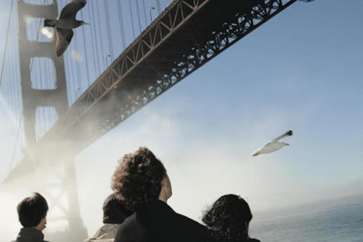 a group of people watching a bird flying under the tower