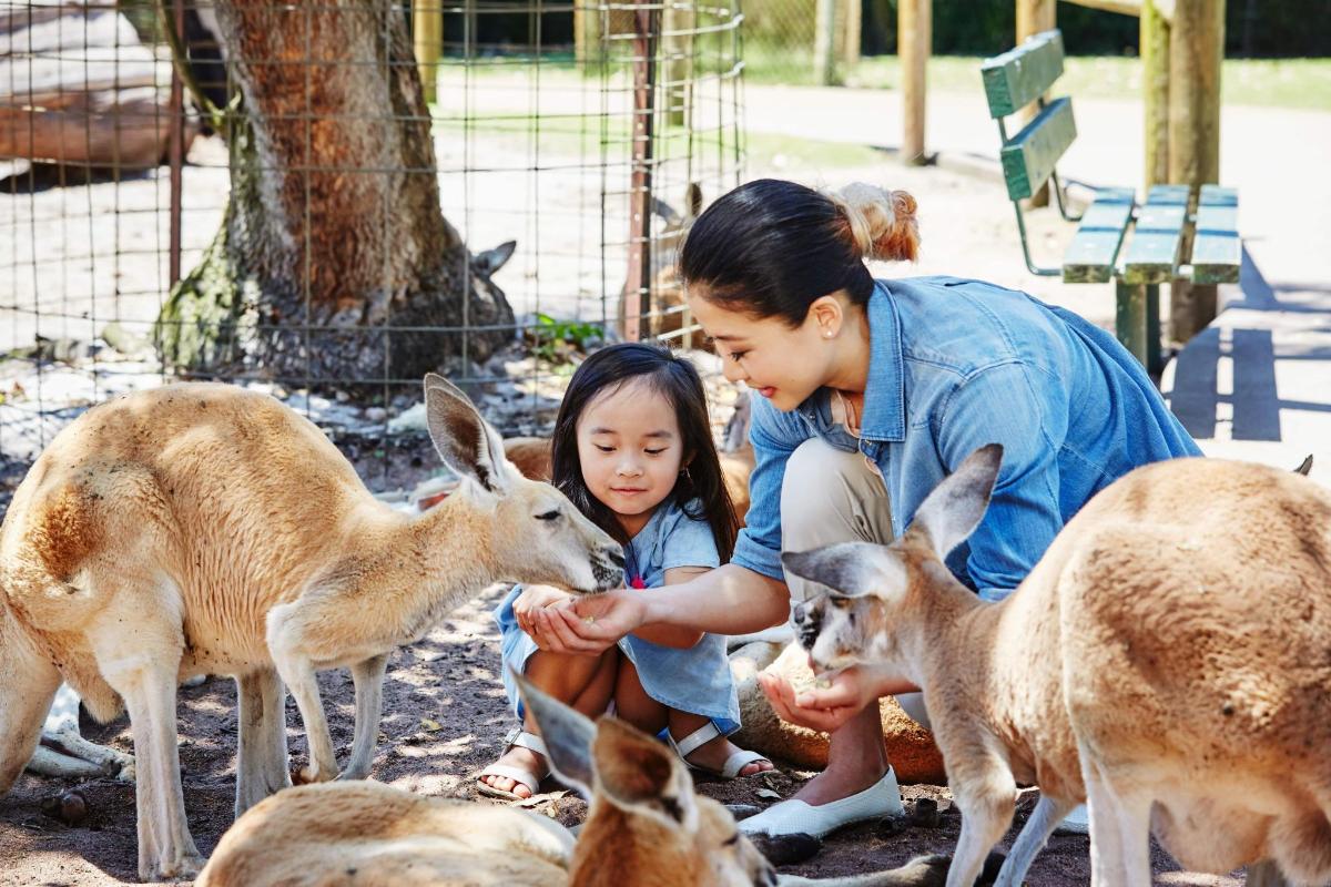 動物園で鹿に餌をあげる男の子と女の子