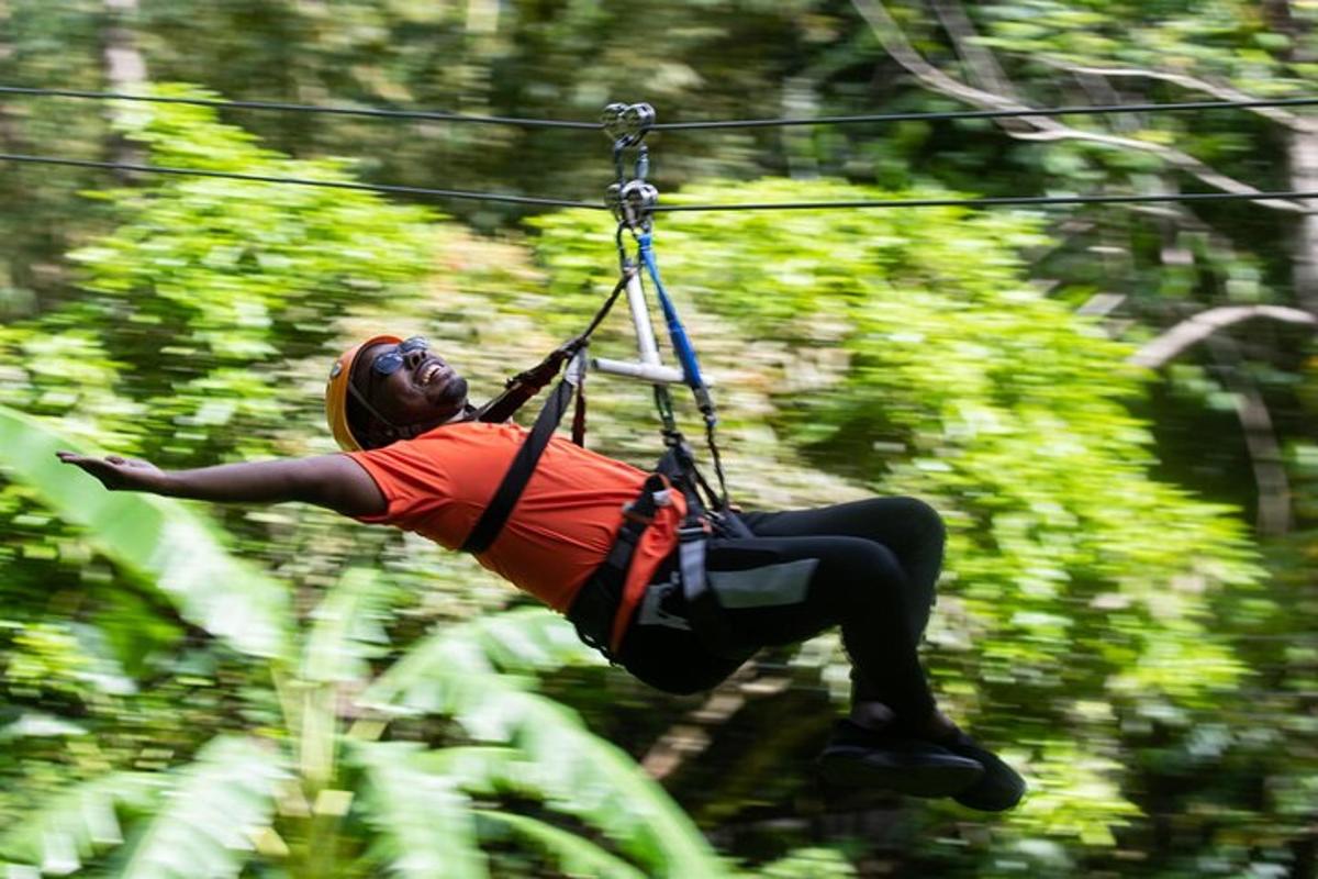 a person on a zip line in the forest