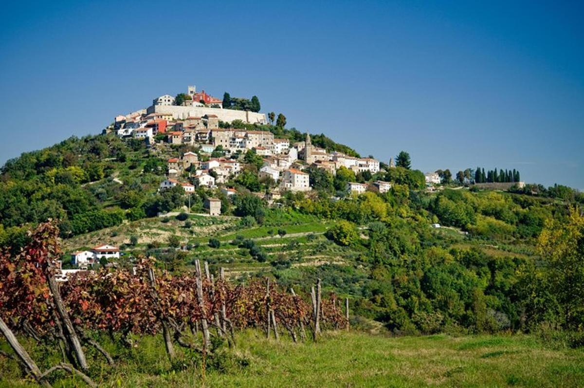 un villaggio in cima a una collina con alberi