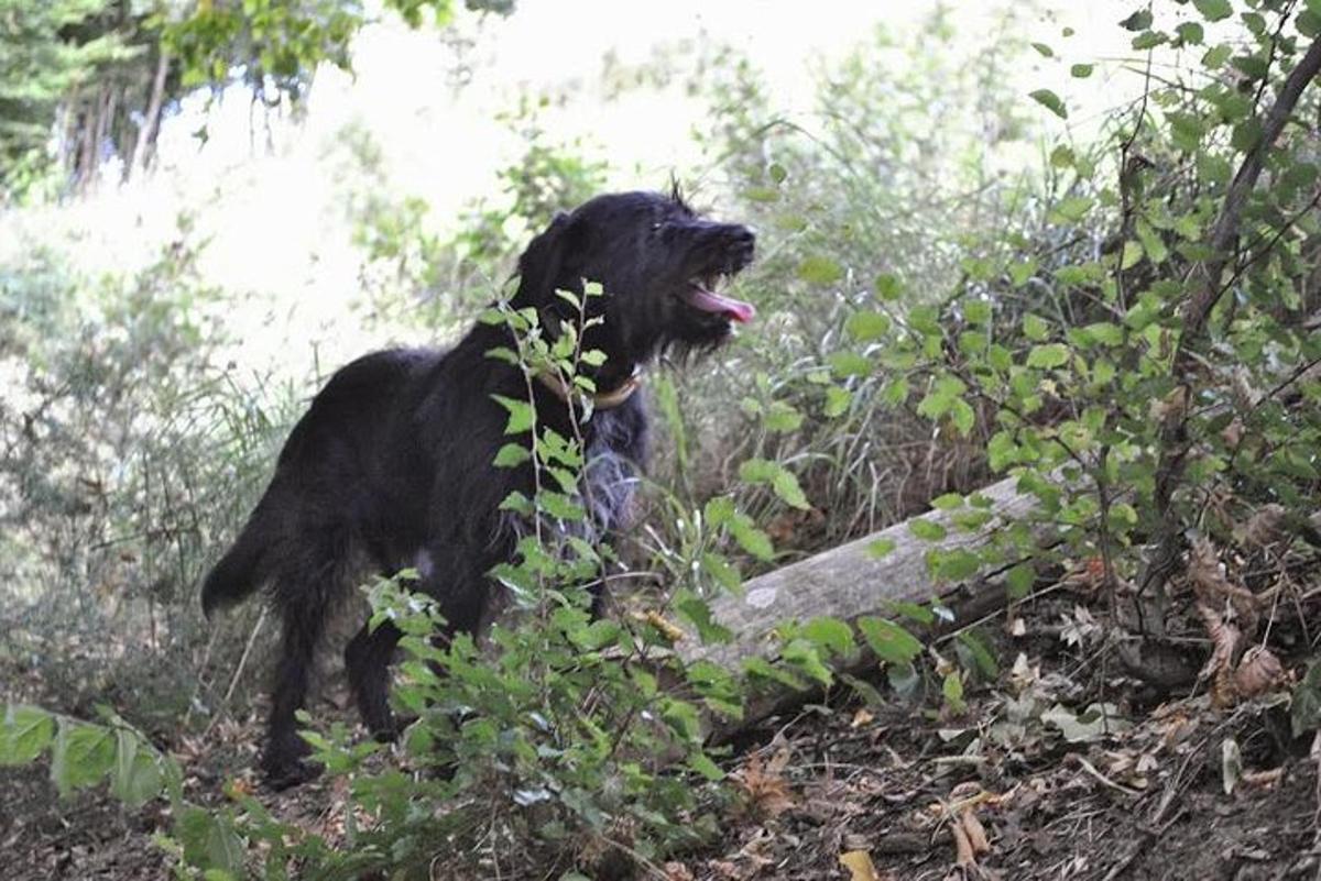 Lankytinos vietos ar pramogos nuotrauka numeris 7