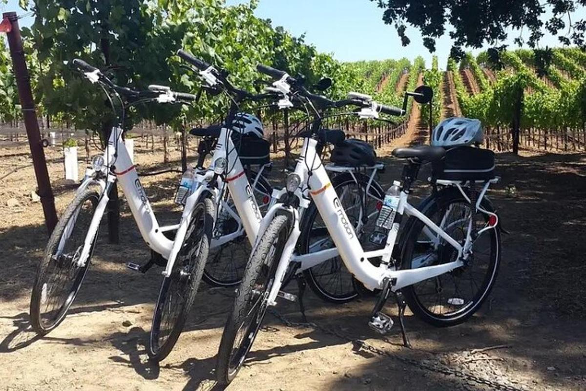 un gruppo di tre biciclette parcheggiate una accanto all'altra