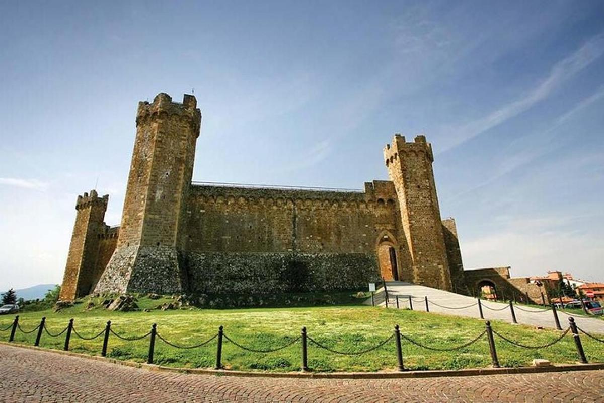an old castle with two towers on a grass field