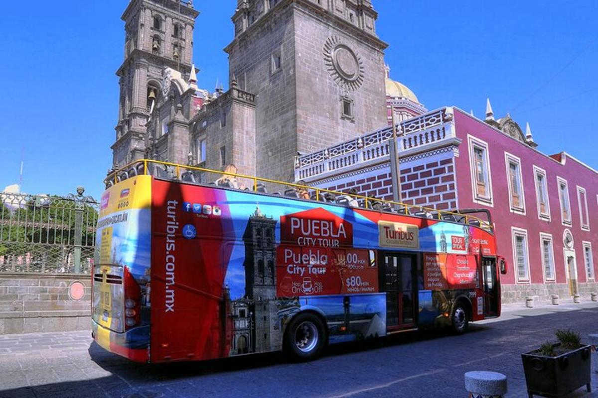 Fotografia da atração 5