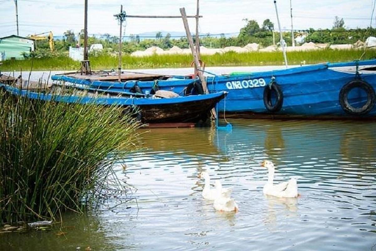 tři bílé labutě ve vodě vedle modré lodi