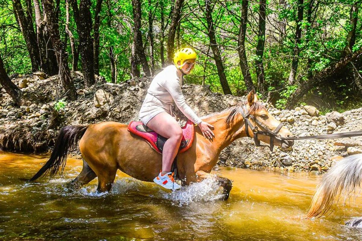 una persona muntant a cavall en un riu amb un bastó