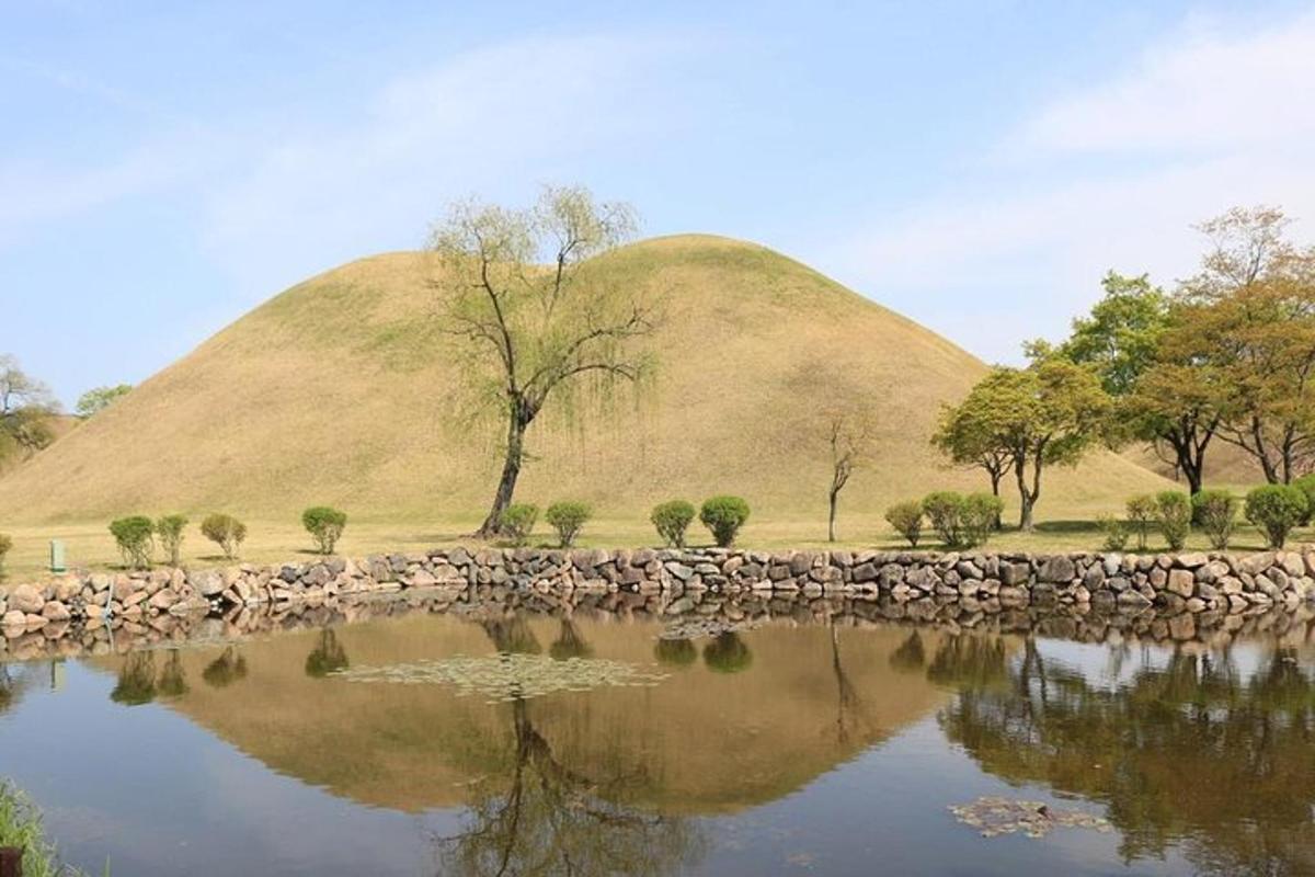 투어 액티비티 사진 5번