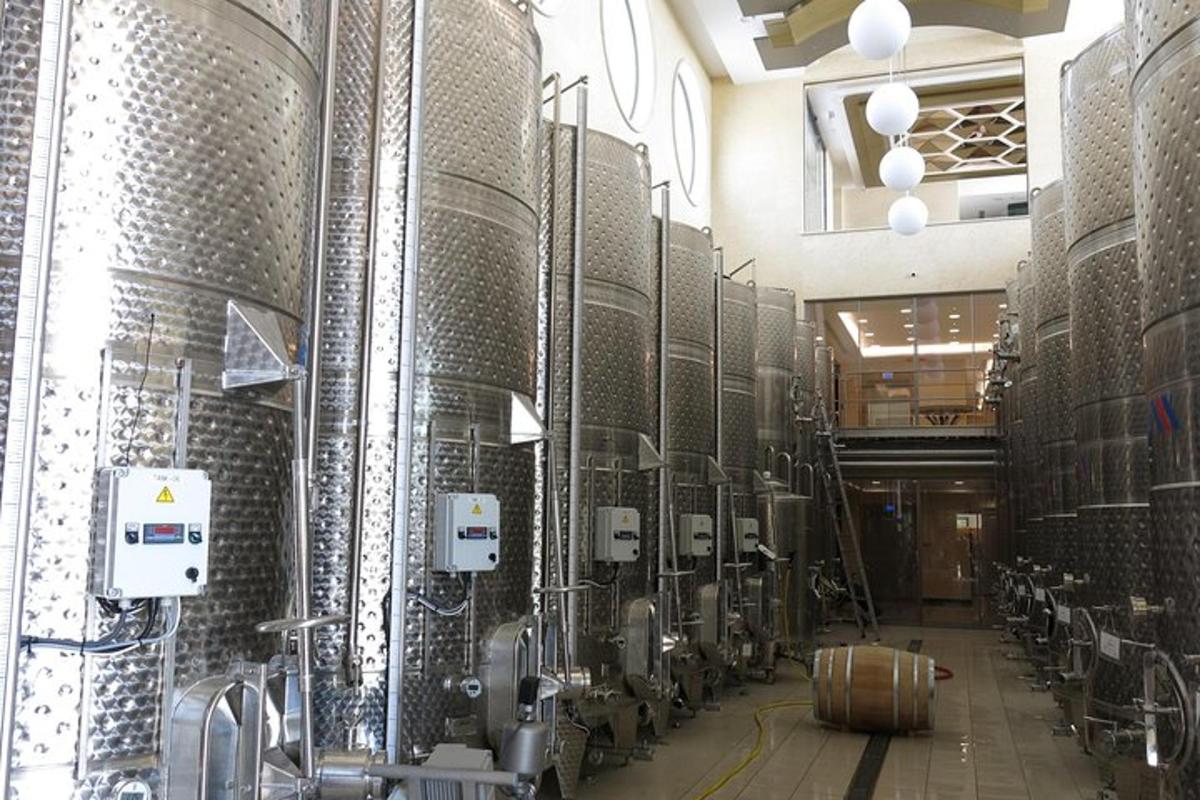 un celler amb un grapat de bótes de vi