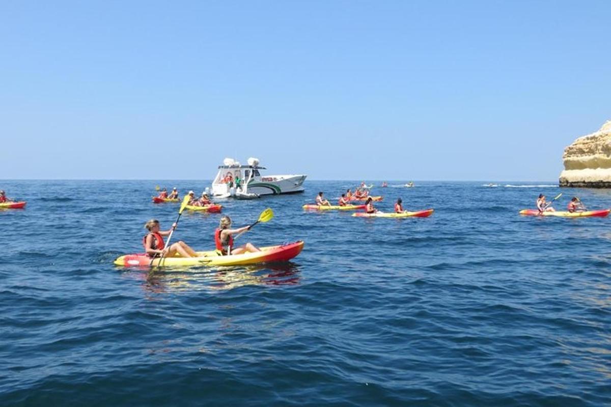 một nhóm người chèo thuyền kayak trên mặt nước