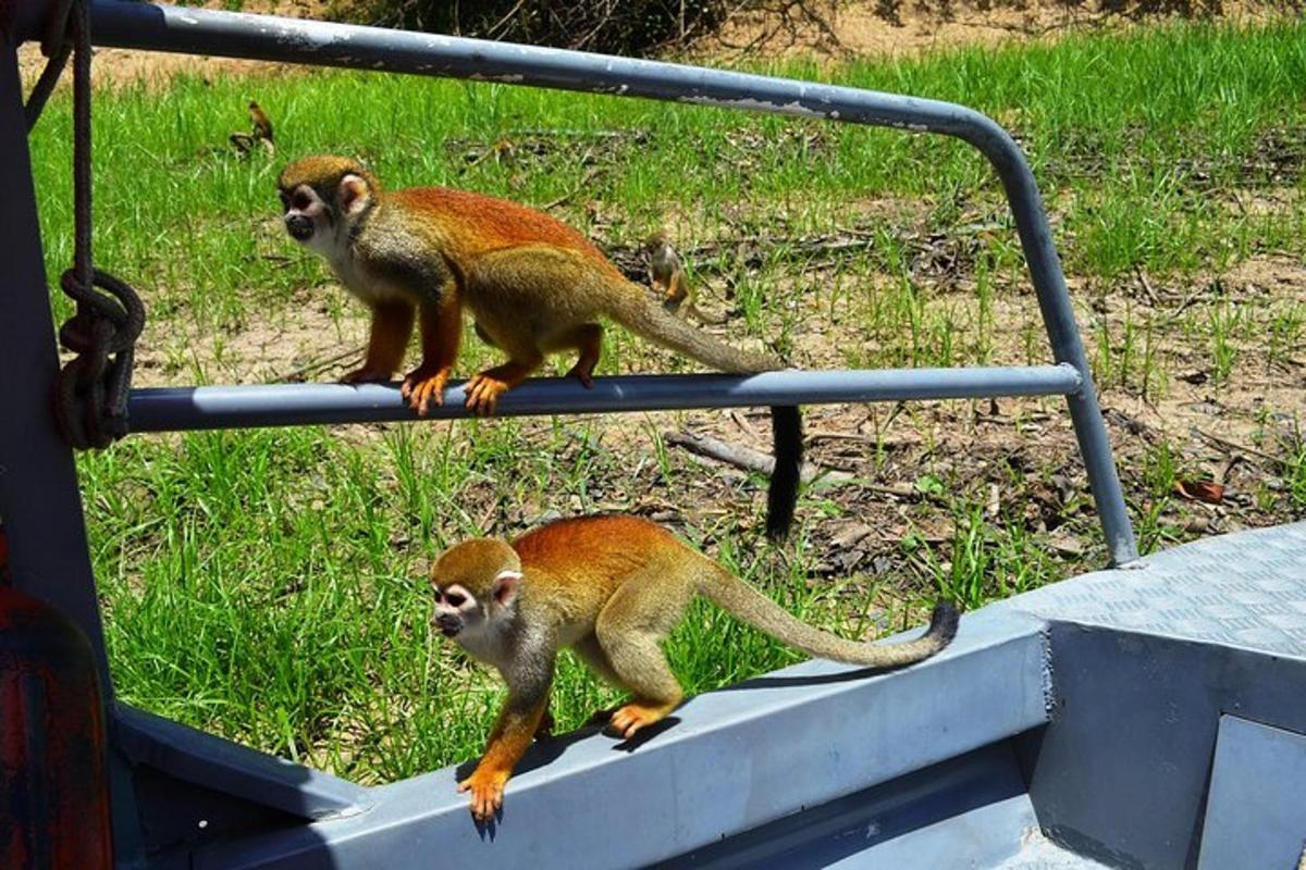 Foto 6 da atração