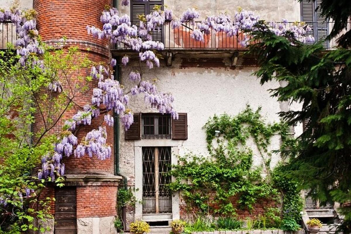 a building with purple wisterias on the side of it