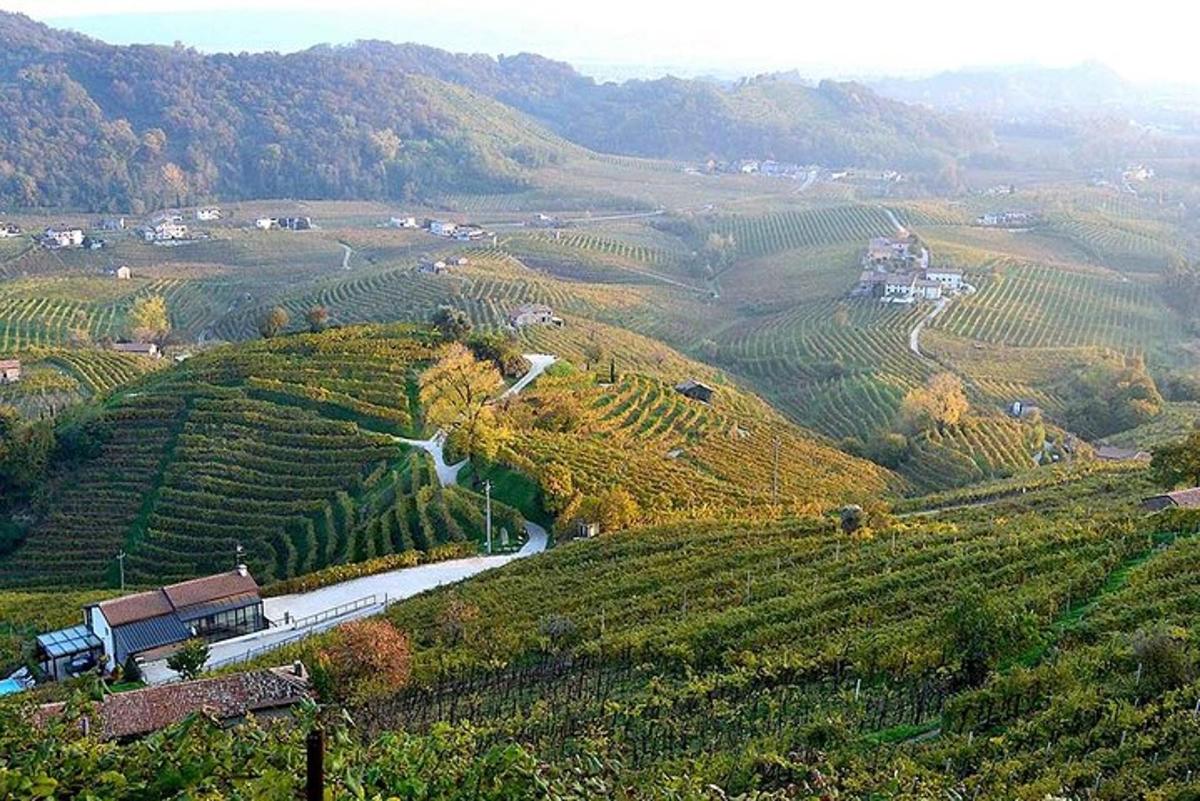 pemandangan ladang anggur dengan kereta api di atas bukit