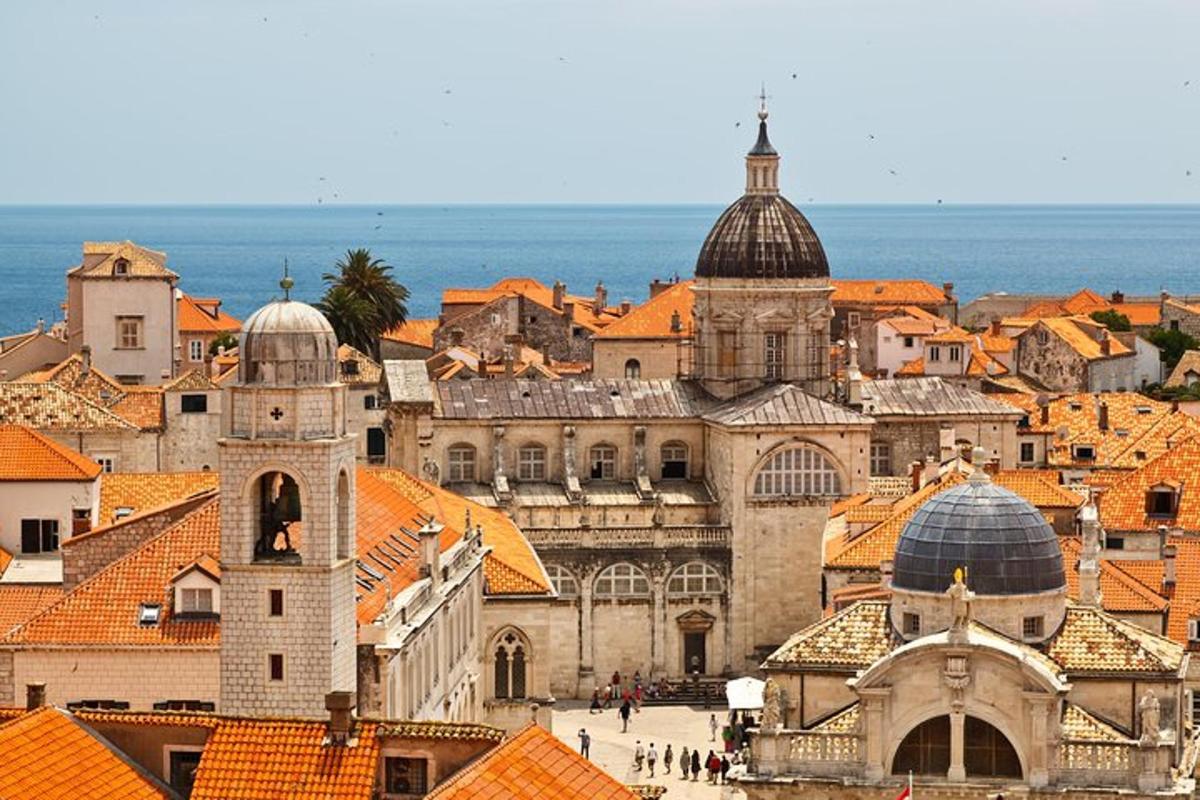 a view of a city with orange roofs