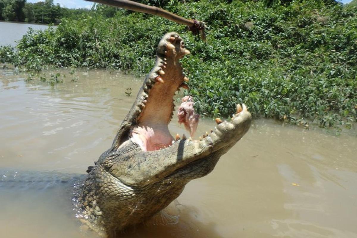 Fotografia da atração 2