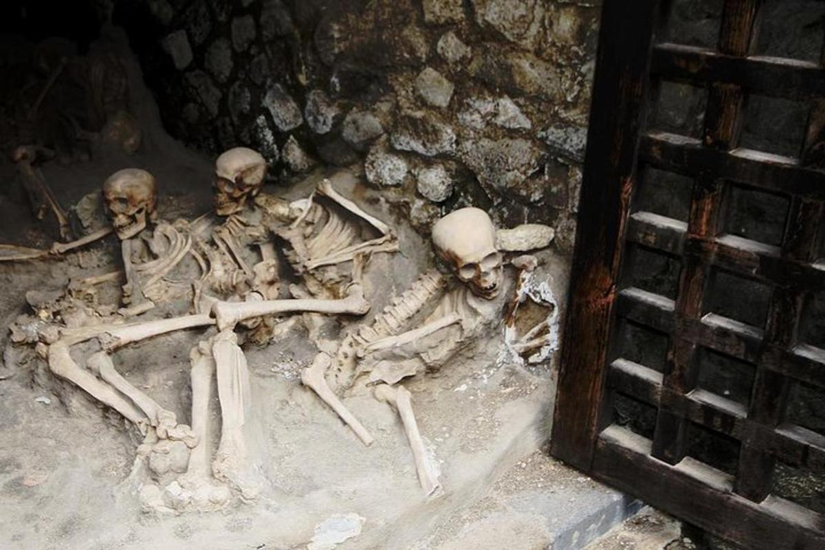 skupina okostnjakov, ki ležijo v pesku poleg vrat