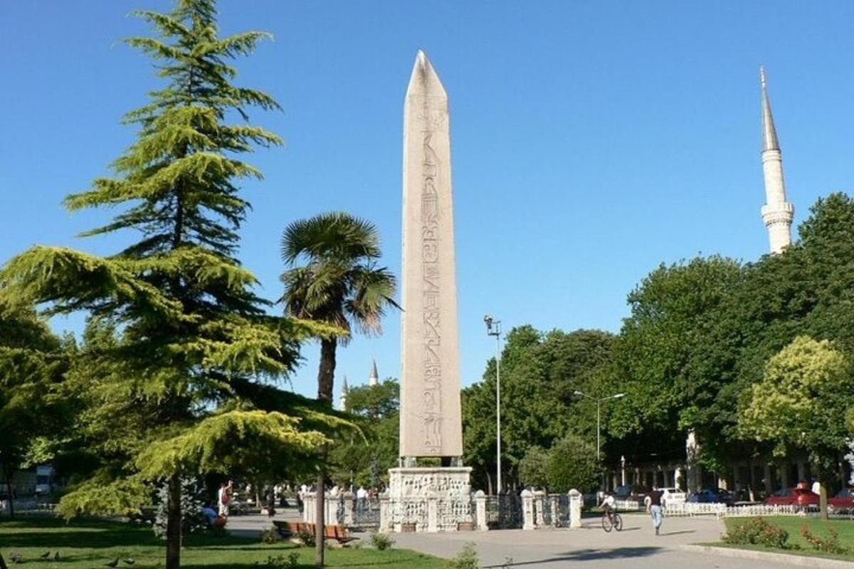 vysoký obelisk v parku se stromem