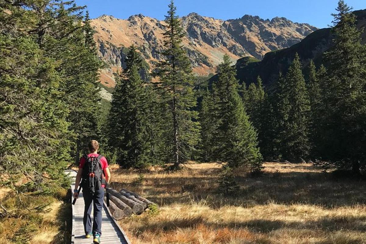 a person walking on a wooden trail in the mountains