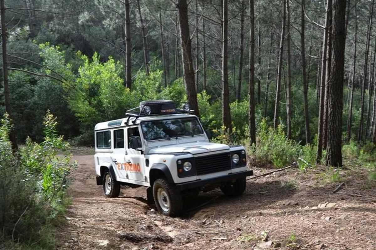 um jipe branco estacionado em uma estrada de terra na floresta