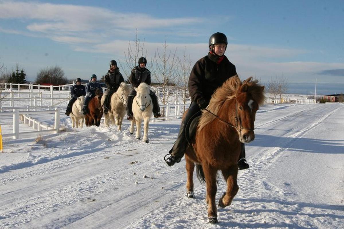 un gruppo di persone a cavallo nella neve